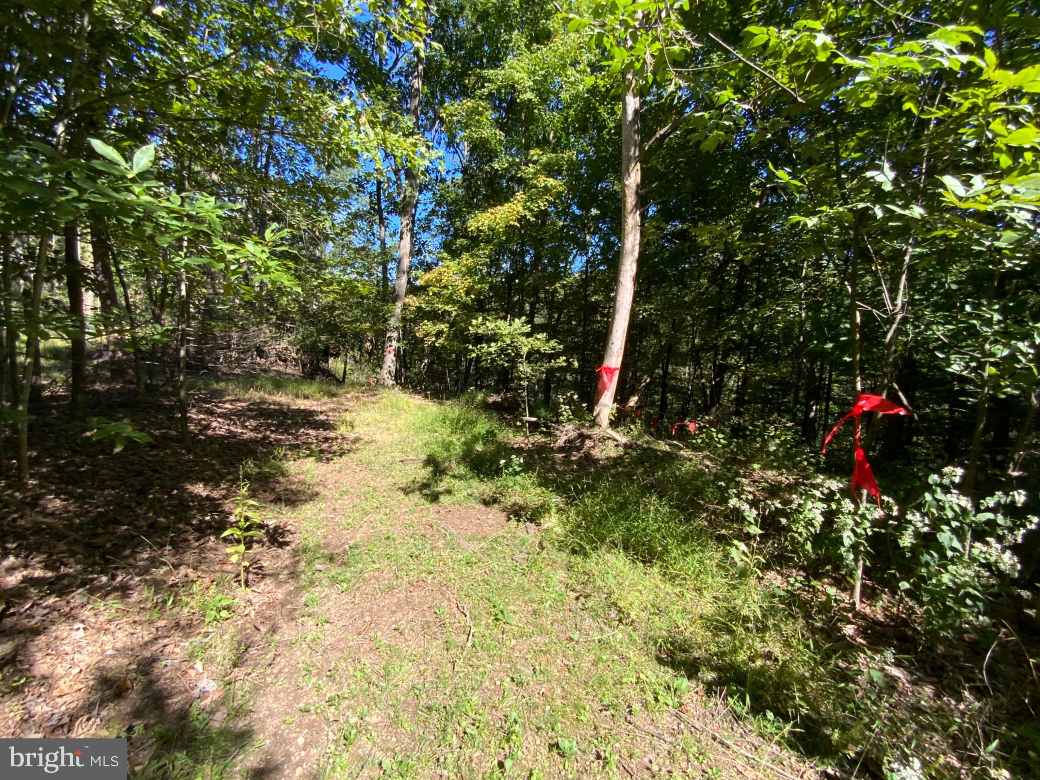 693 PEACH RIDGE ROAD