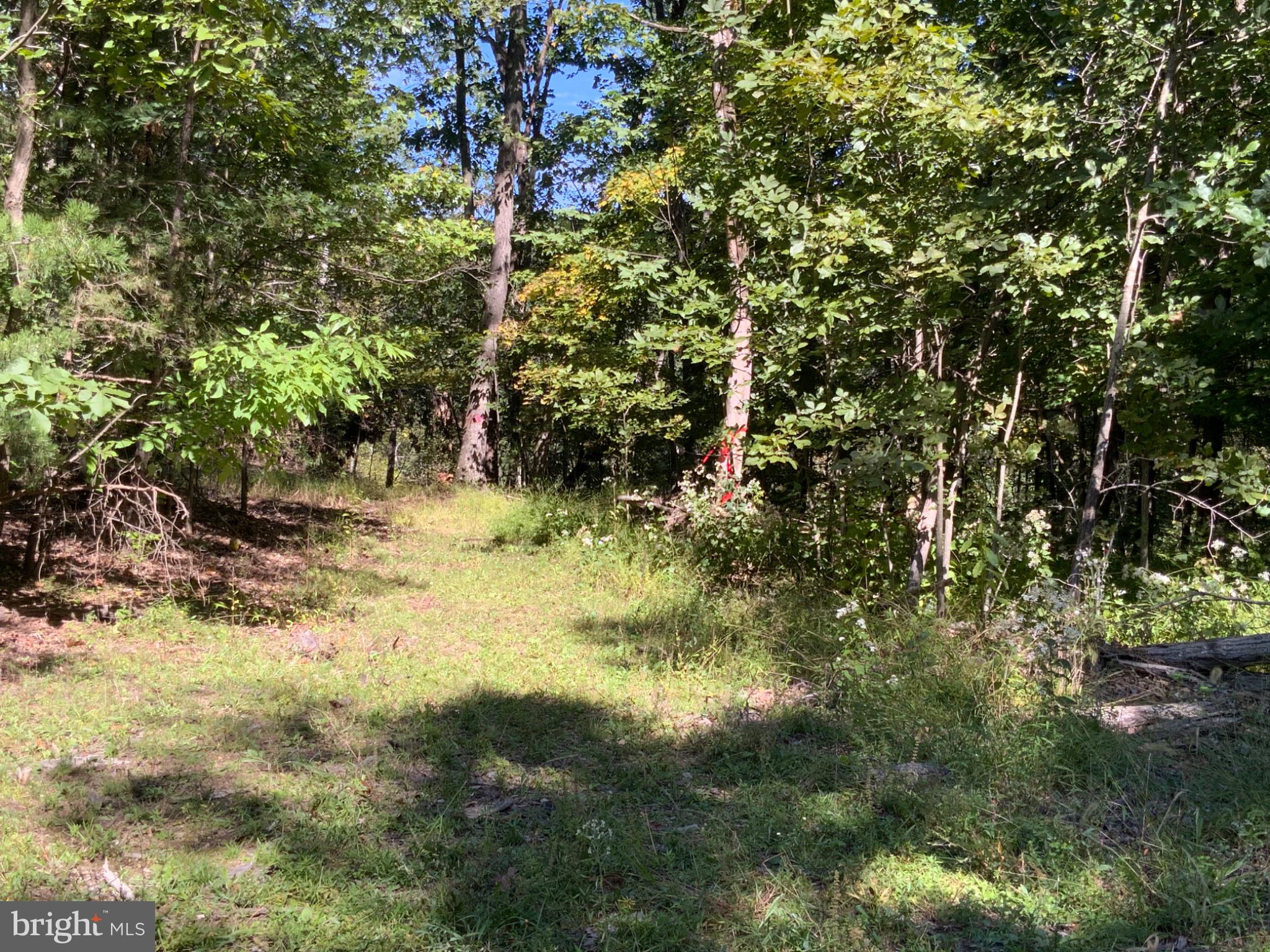693 PEACH RIDGE ROAD