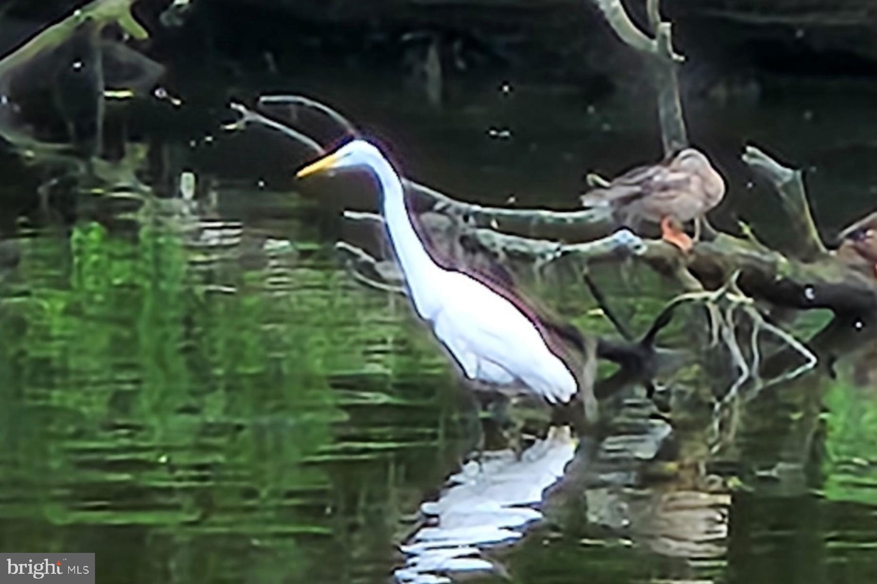 BAR HARBOR - Residential