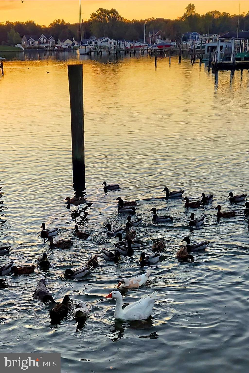 BAR HARBOR - Residential