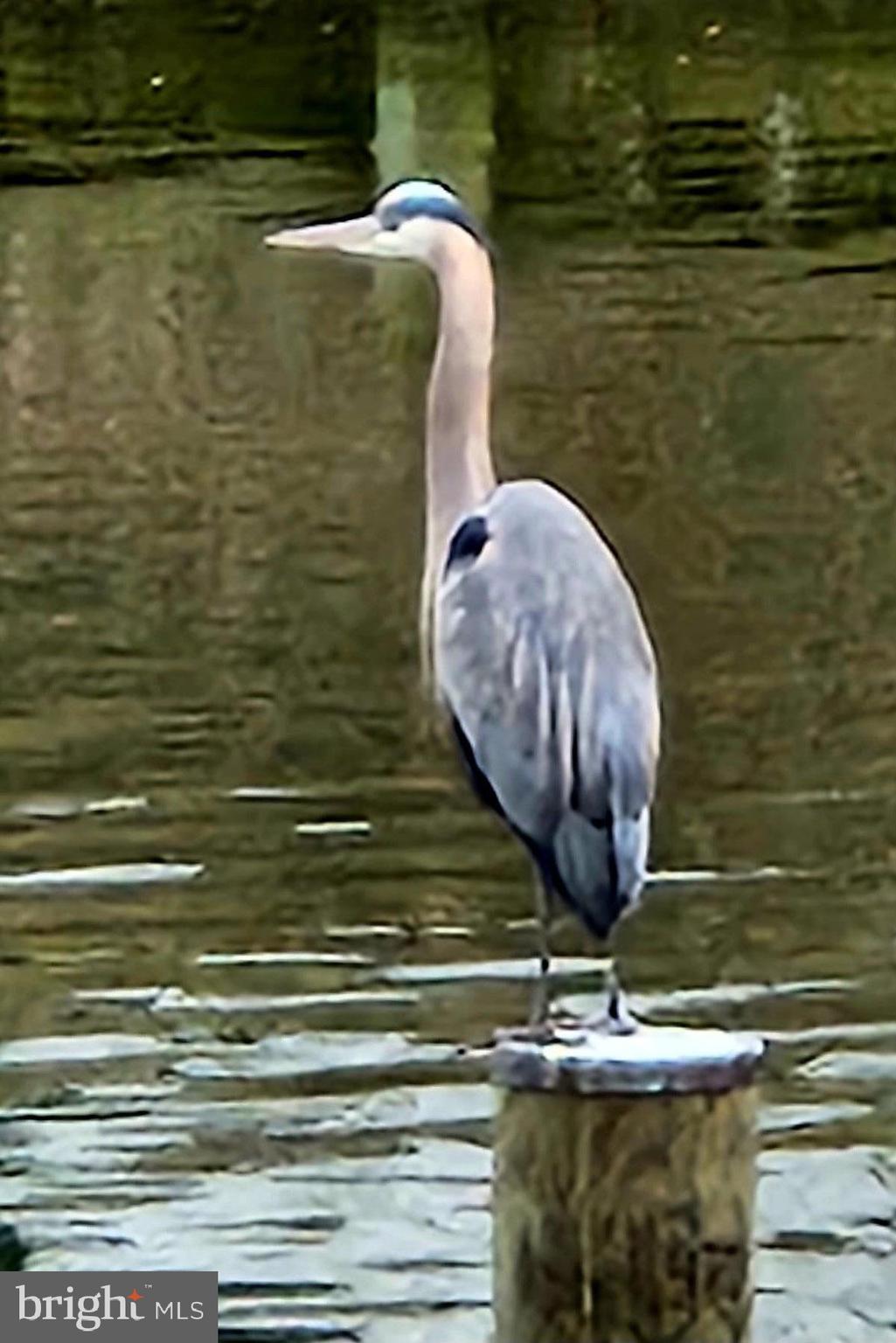 BAR HARBOR - Residential