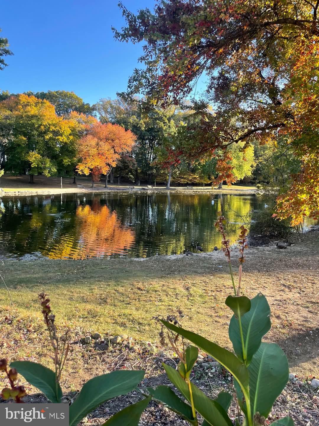 CHARTER CHASE - Residential