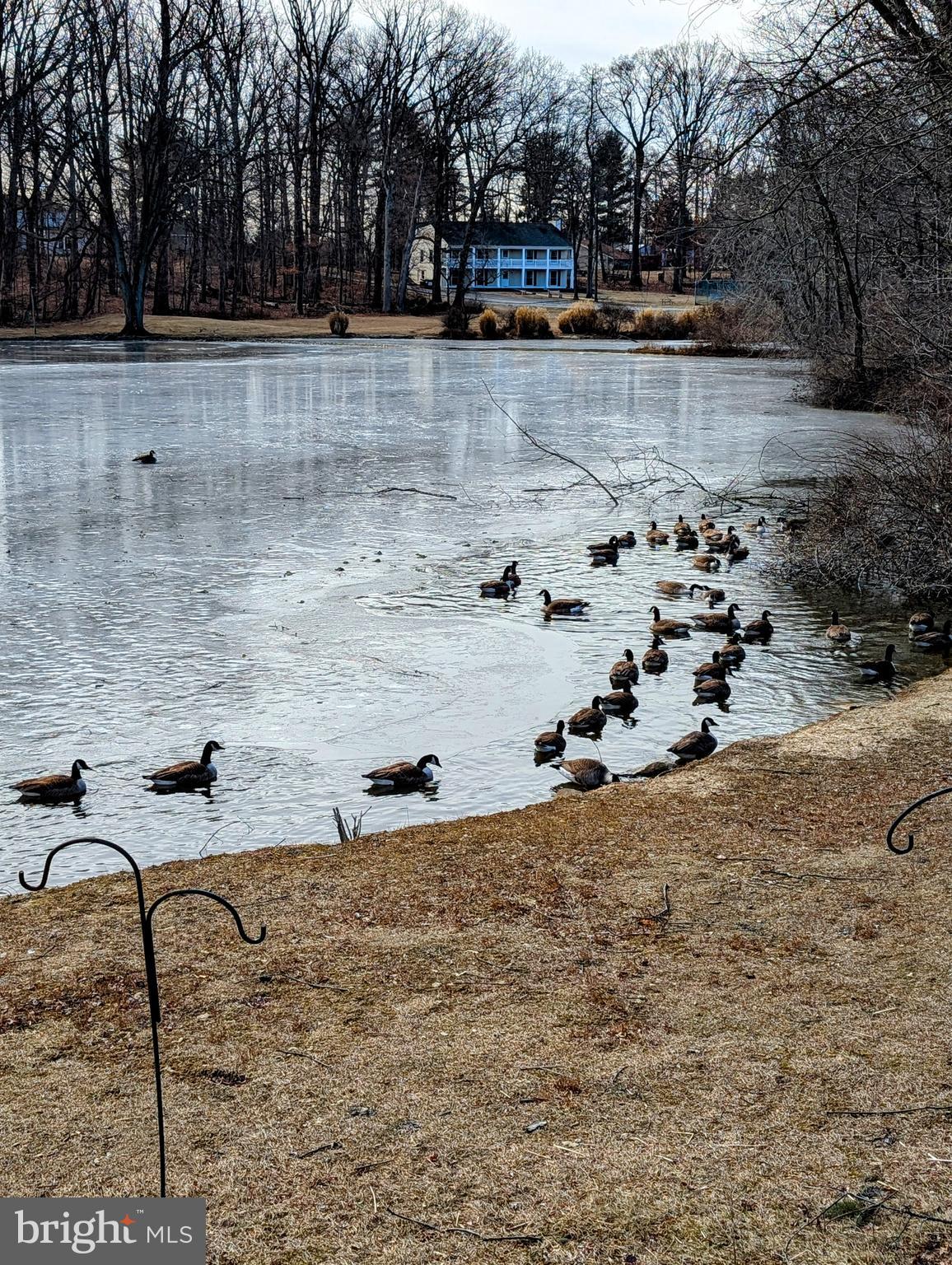 CHARTER CHASE - Residential