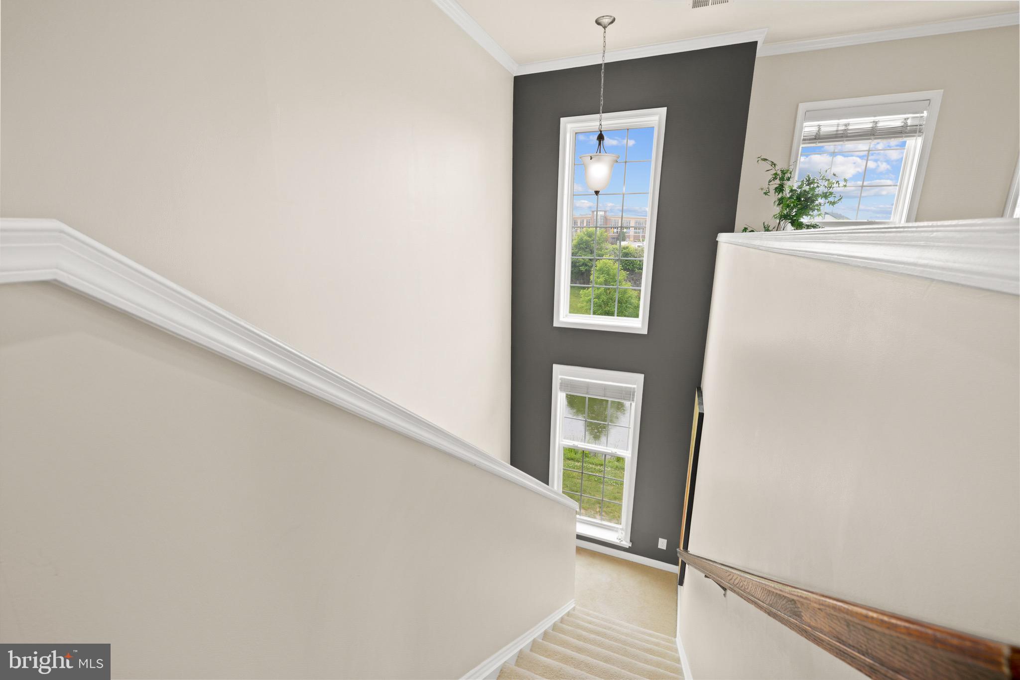 TOWNES AT GOOSE CREEK VILLAGE - Residential