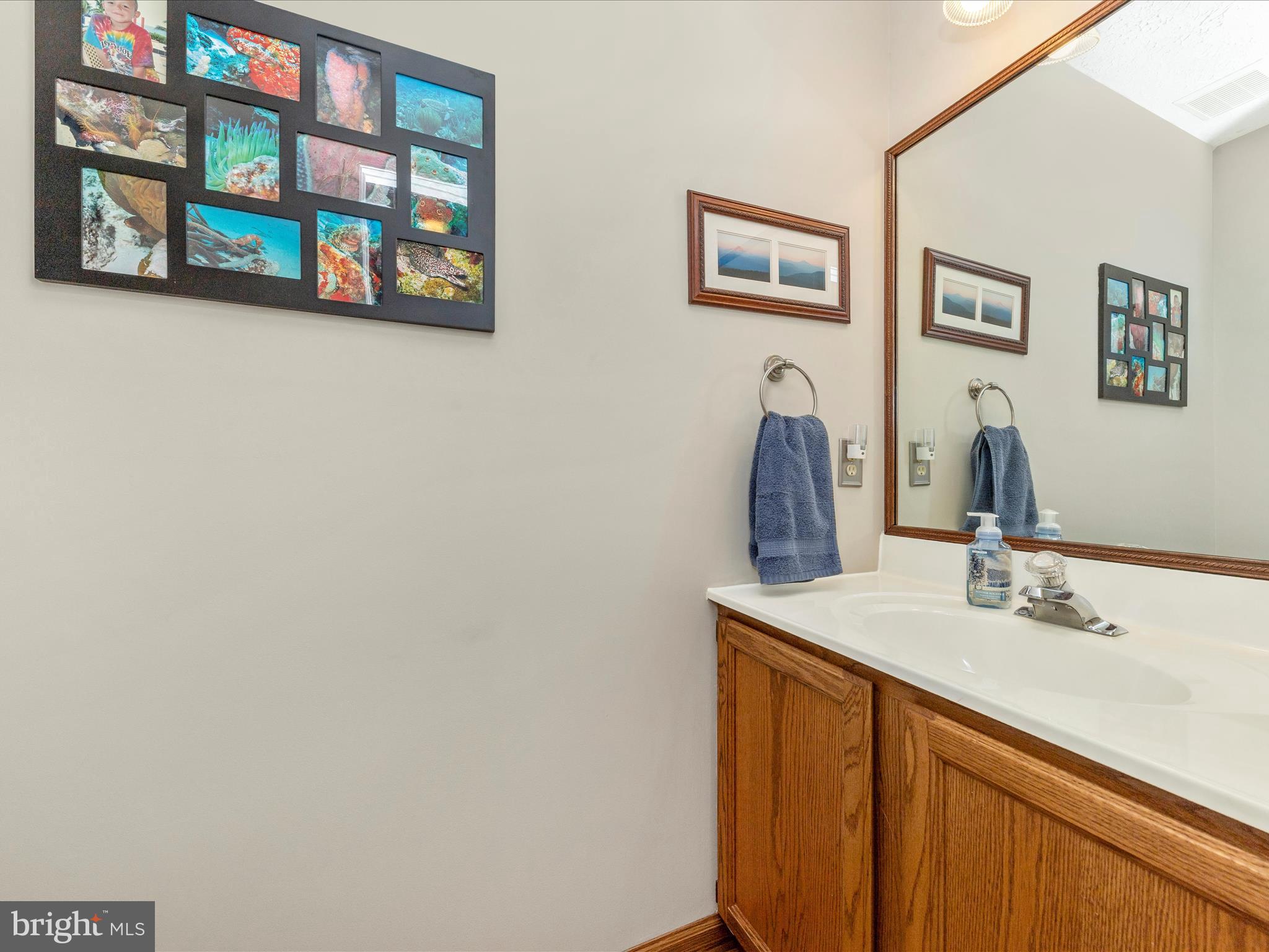 BALLENGER CREEK MEADOWS - Residential