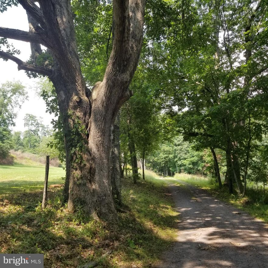 Discover Your Mountain Getaway!
Don’t miss the chance to own nearly 9 acres of stunning land just minutes from Deep Creek Lake, Swallow Falls, and Herrington Manor State Park.
This expansive 8.8-acre parcel is one of the largest lots in the McHenry area—offering plenty of space, privacy, and endless potential. Build your dream home, vacation retreat, or investment property in the heart of beautiful Garrett County.

The land has been meticulously cared for and thoughtfully cleared of brush, making it ready for your vision.