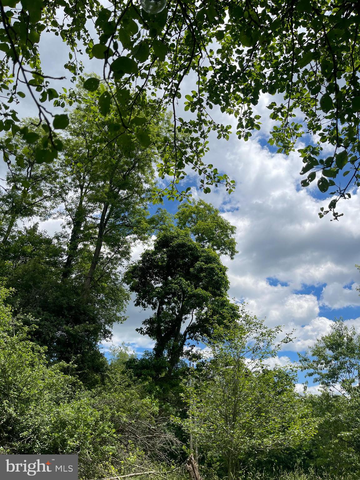 WES MOUNTAIN TRAIL