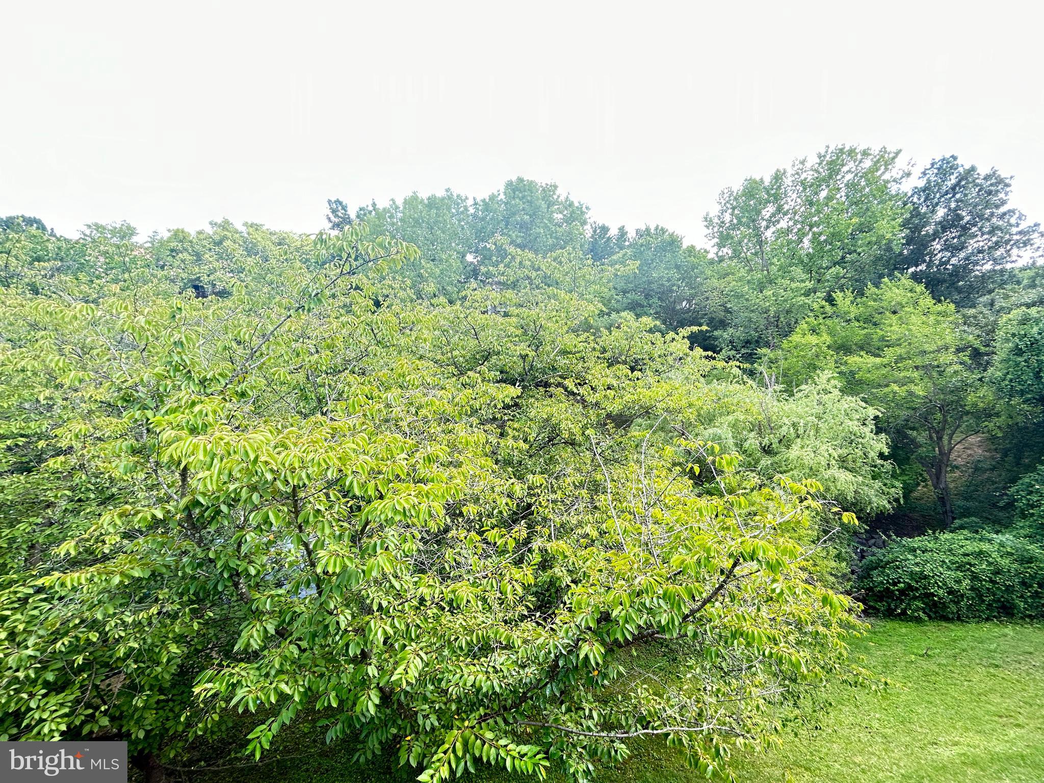 FAIR HILL - Residential Lease