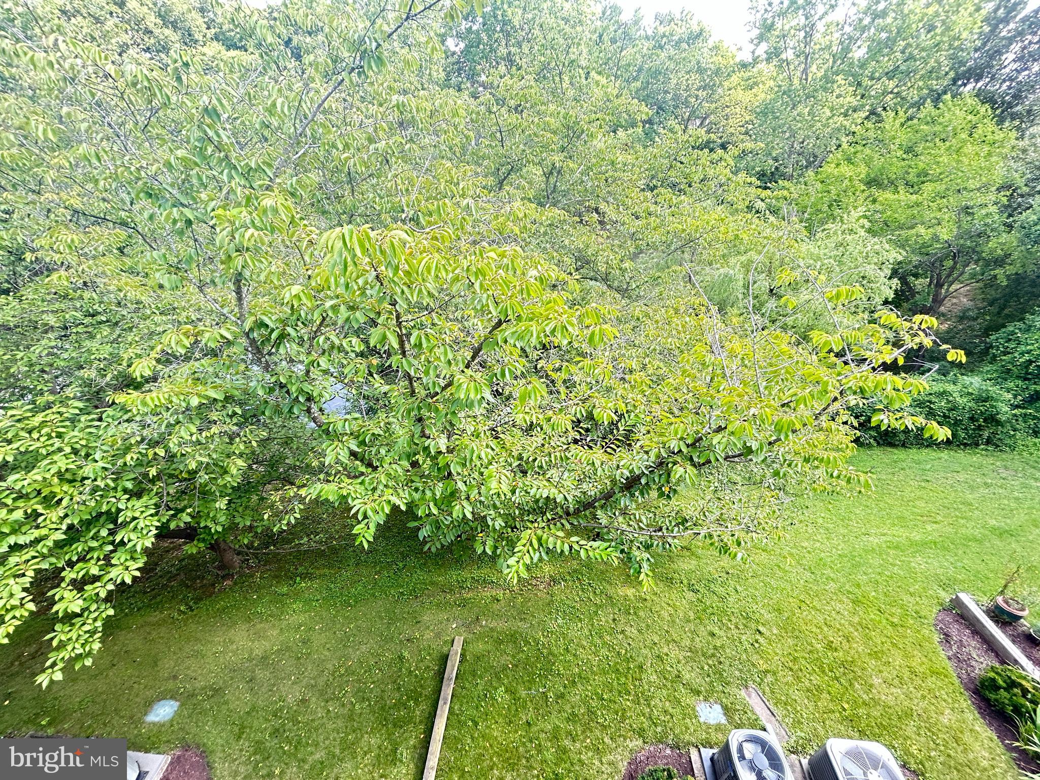 FAIR HILL - Residential Lease