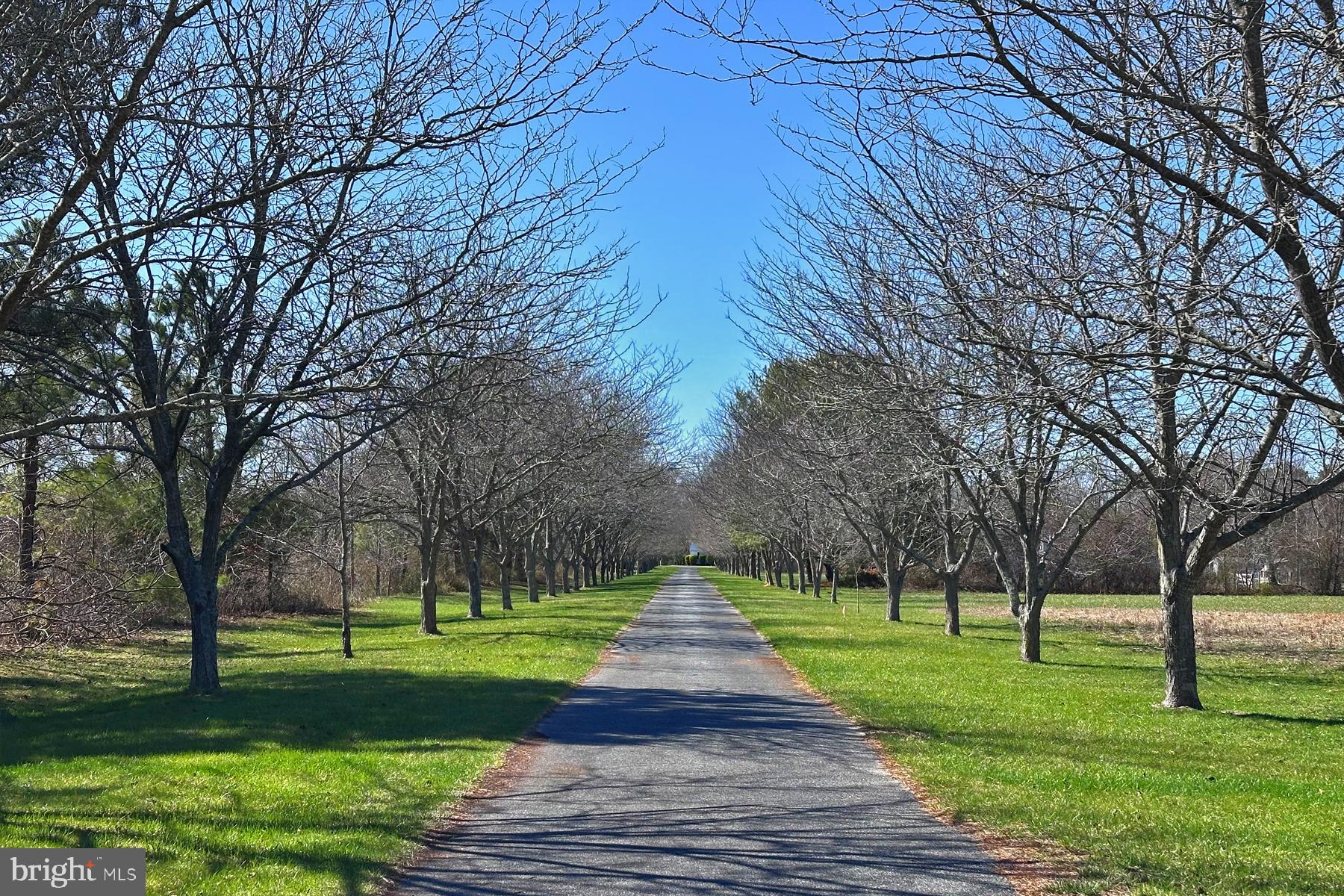 18605 PETTYJOHN ROAD