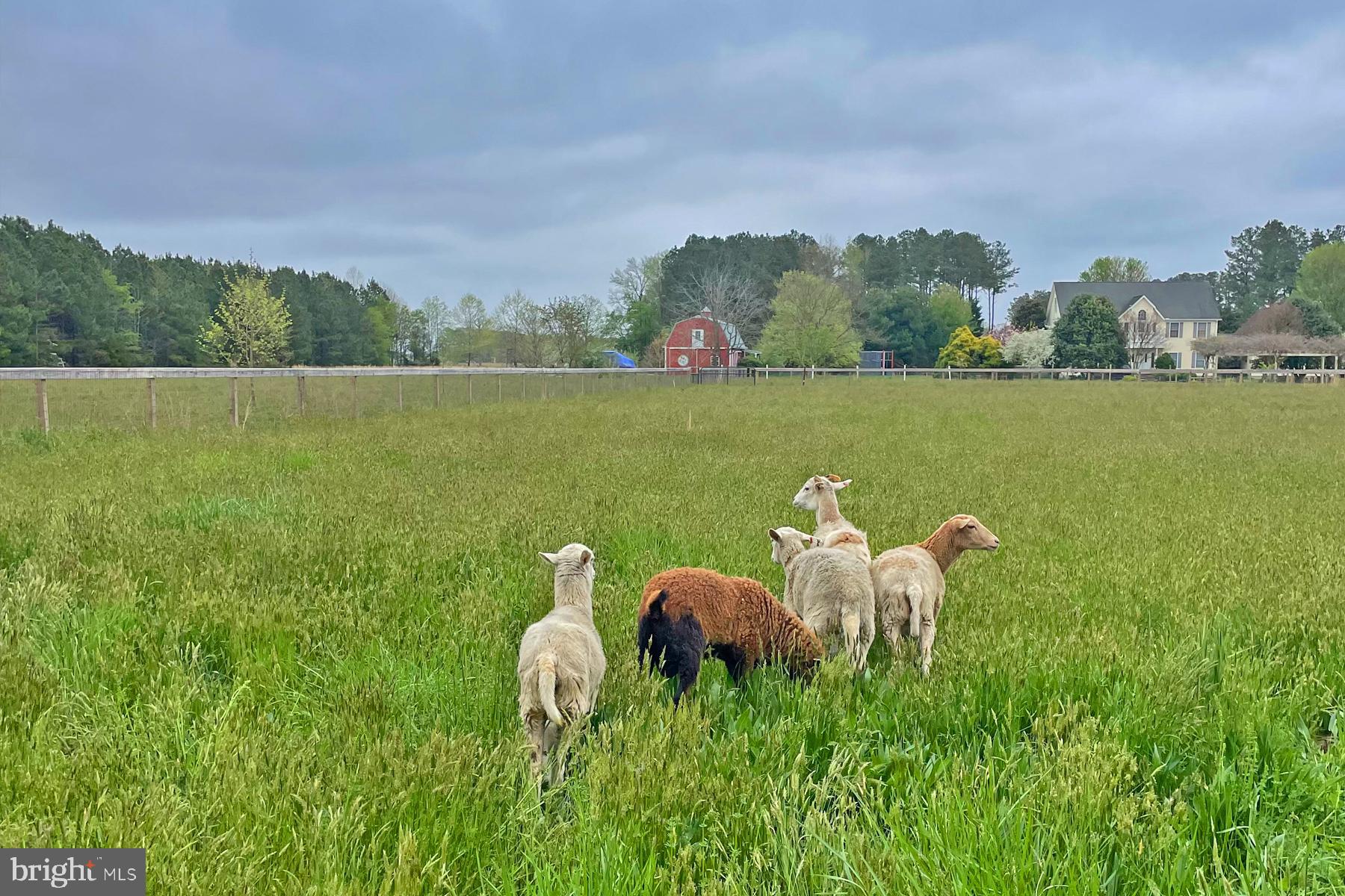 18605 PETTYJOHN ROAD