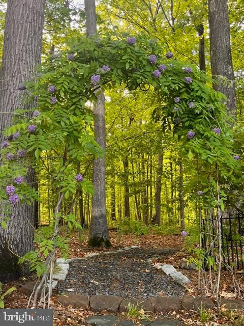 12524 PHILMONT DRIVE