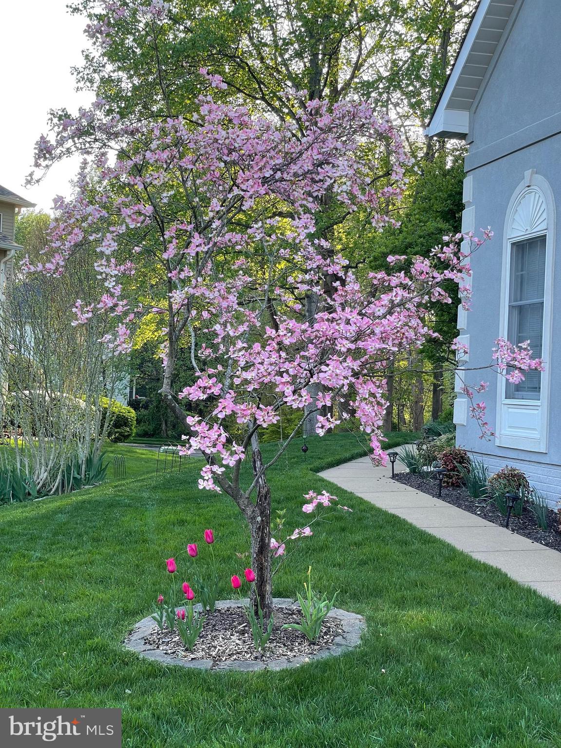 RIDGEGATE WOODS - Residential