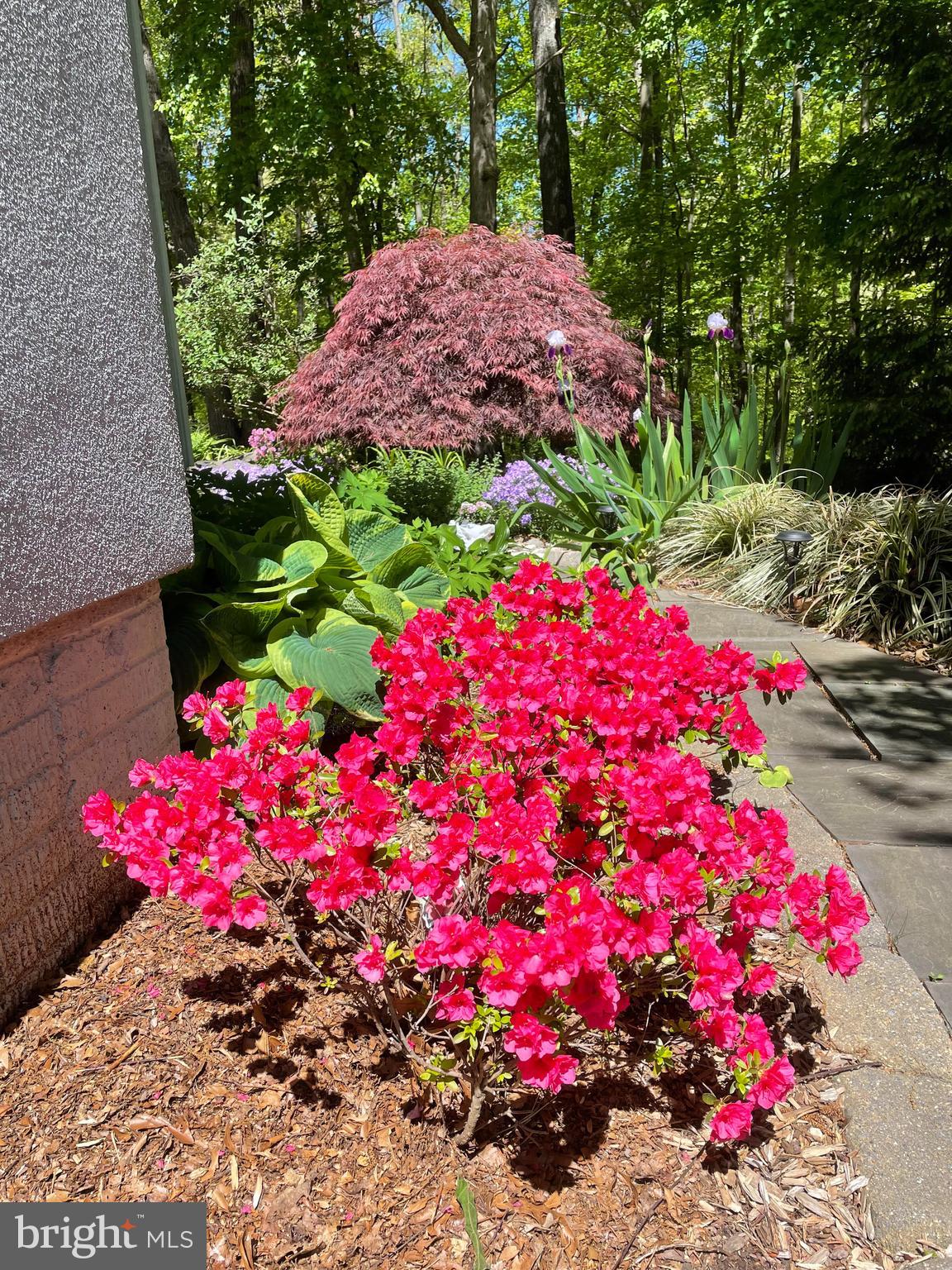 RIDGEGATE WOODS - Residential