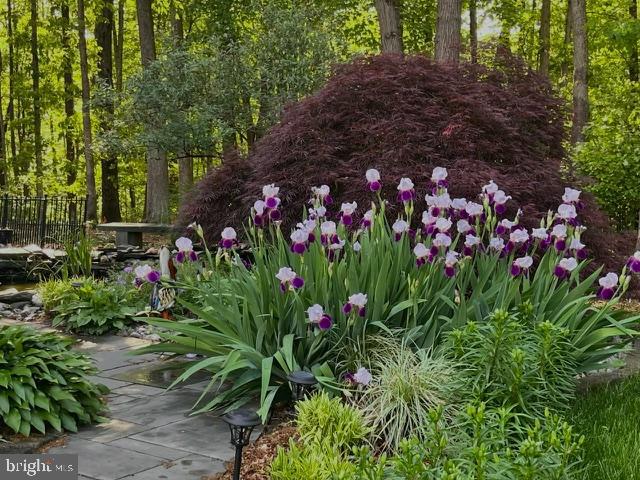 12524 PHILMONT DRIVE