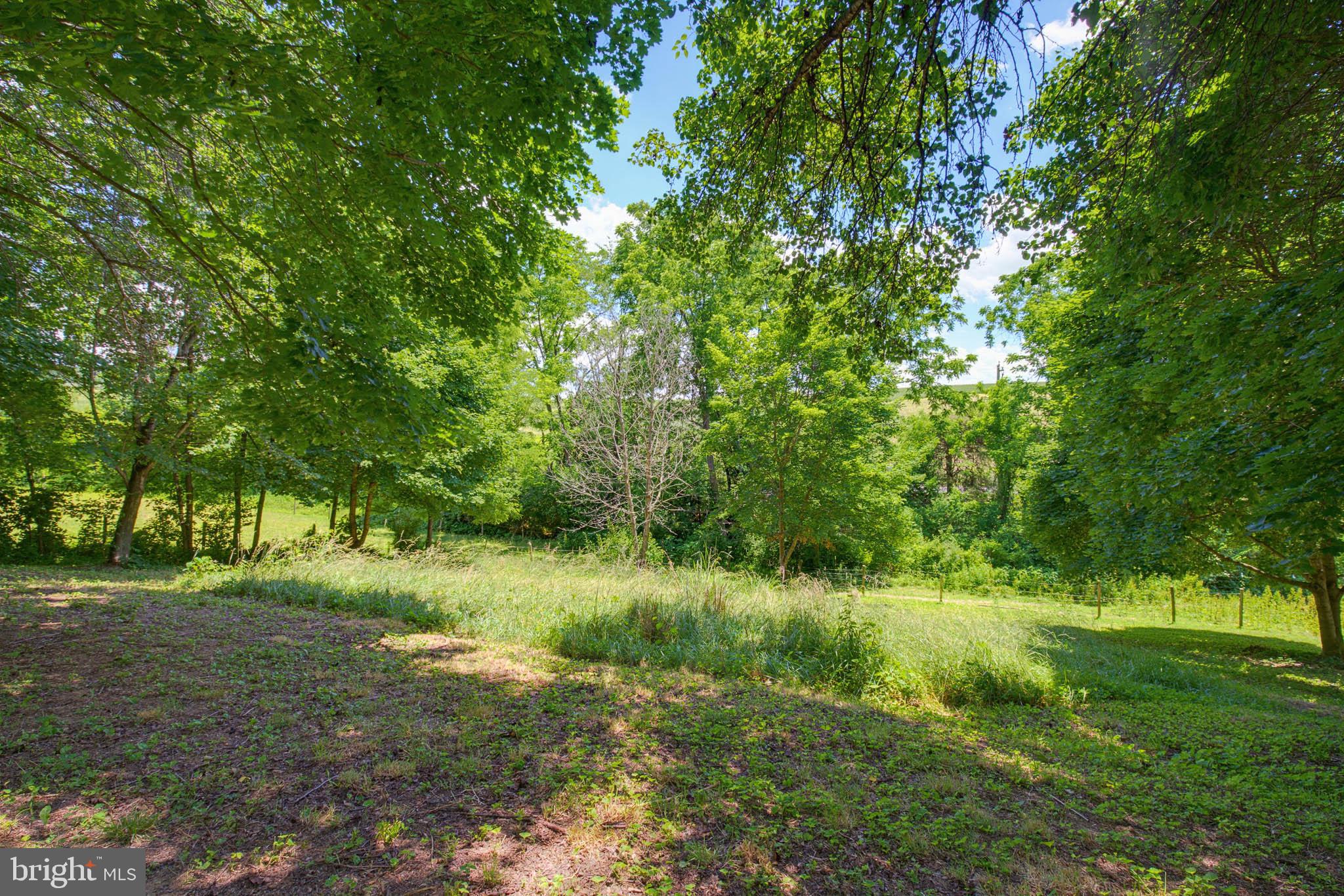 3896 OLD JOSEPH ROAD