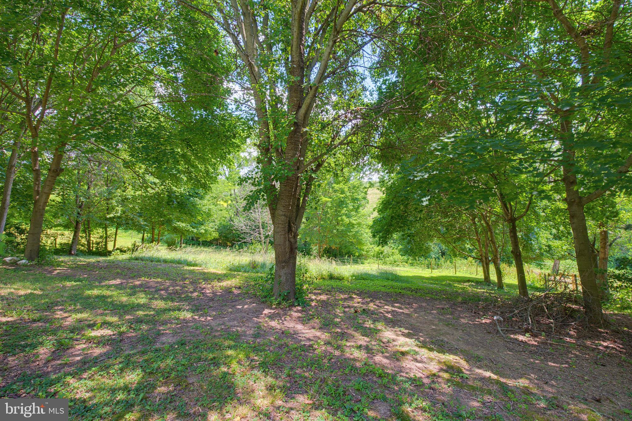 3896 OLD JOSEPH ROAD