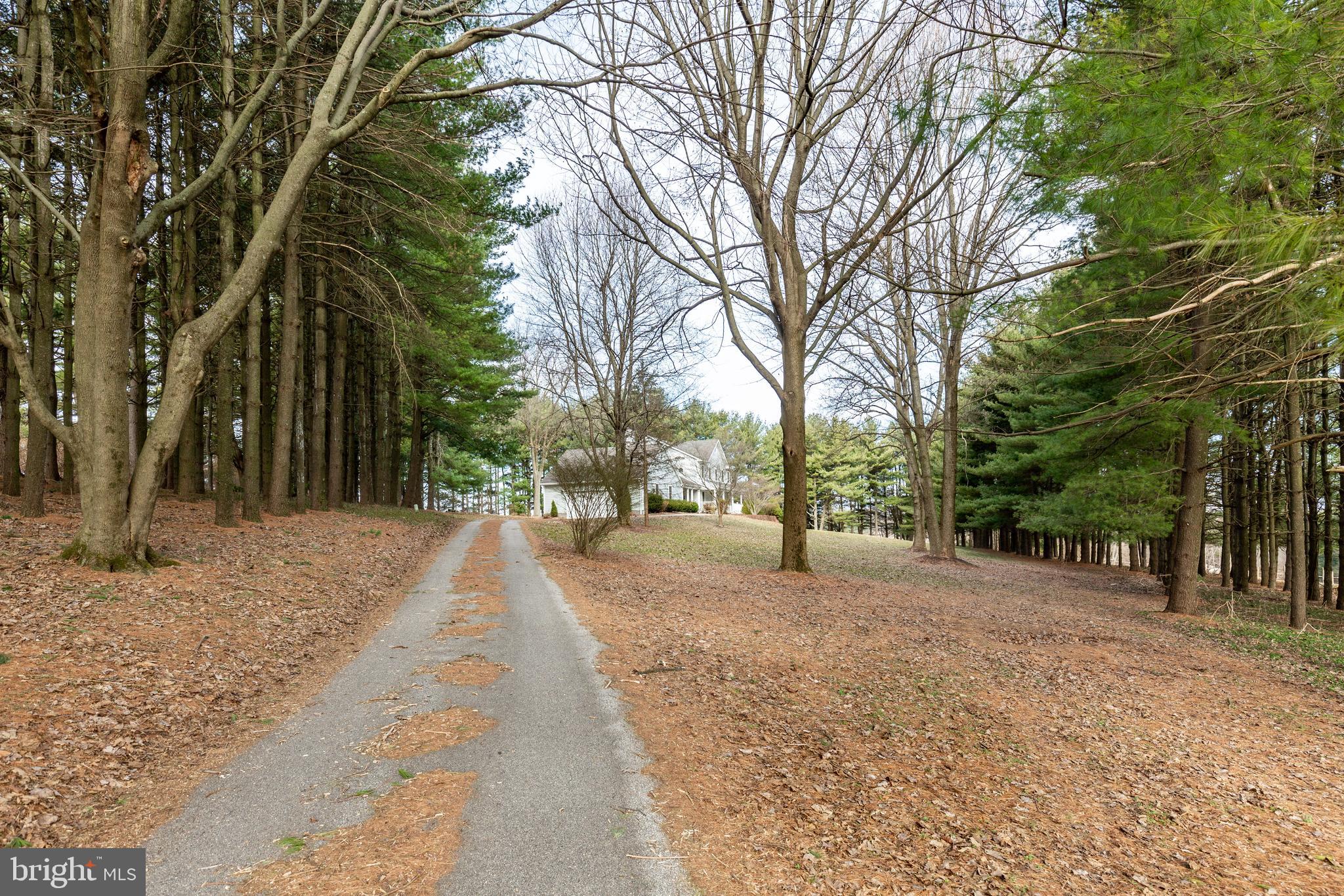 BOB EL FARMS - Residential