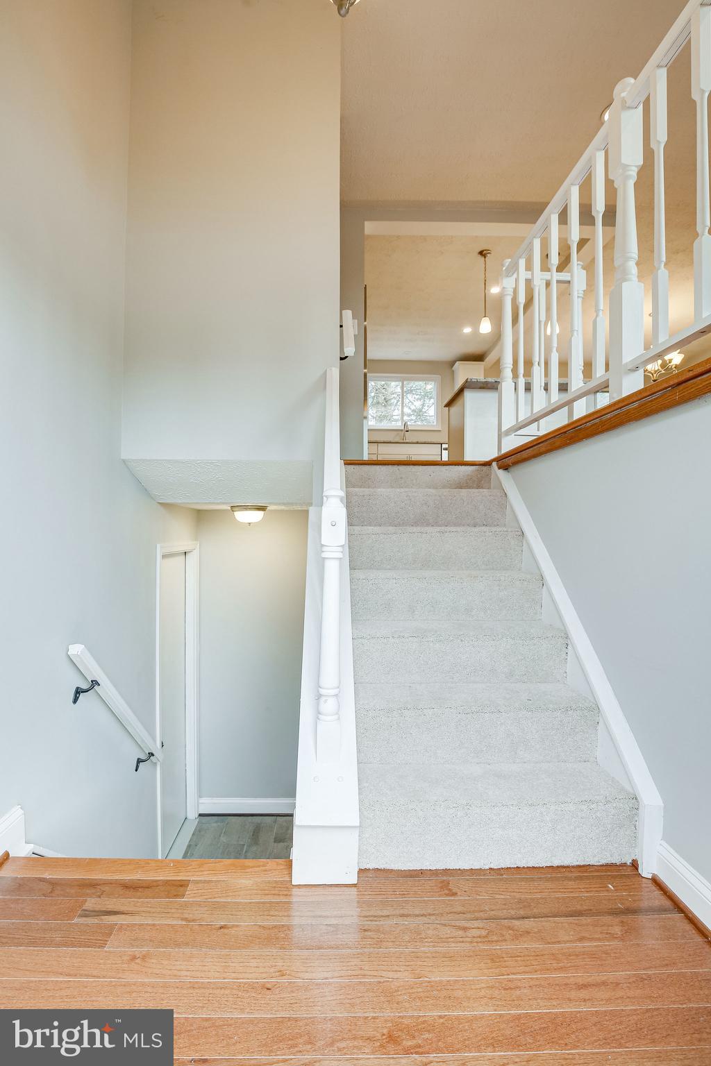 FOX MILL ESTATES - Residential