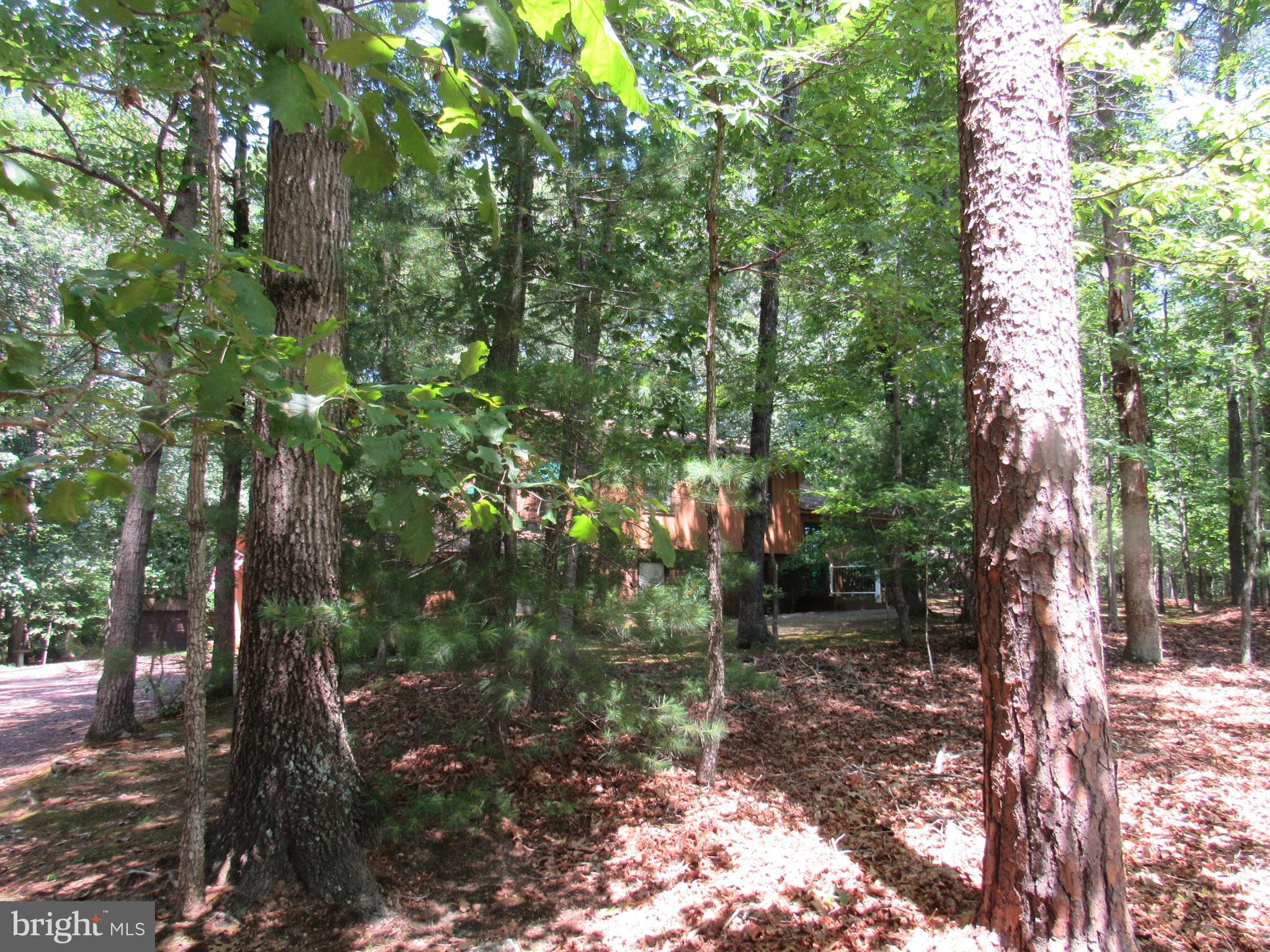 ALUM SPRING EAST - Residential