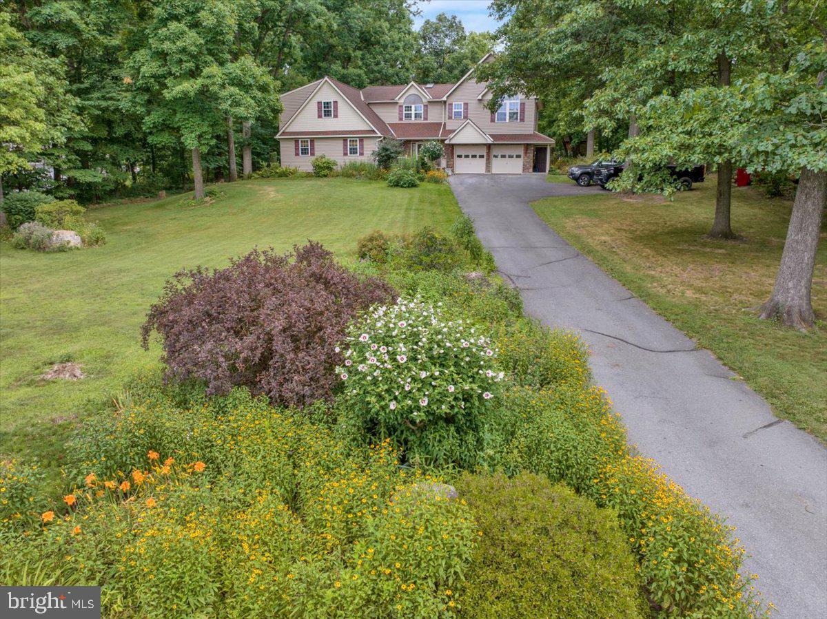 715 TEXTER MOUNTAIN ROAD