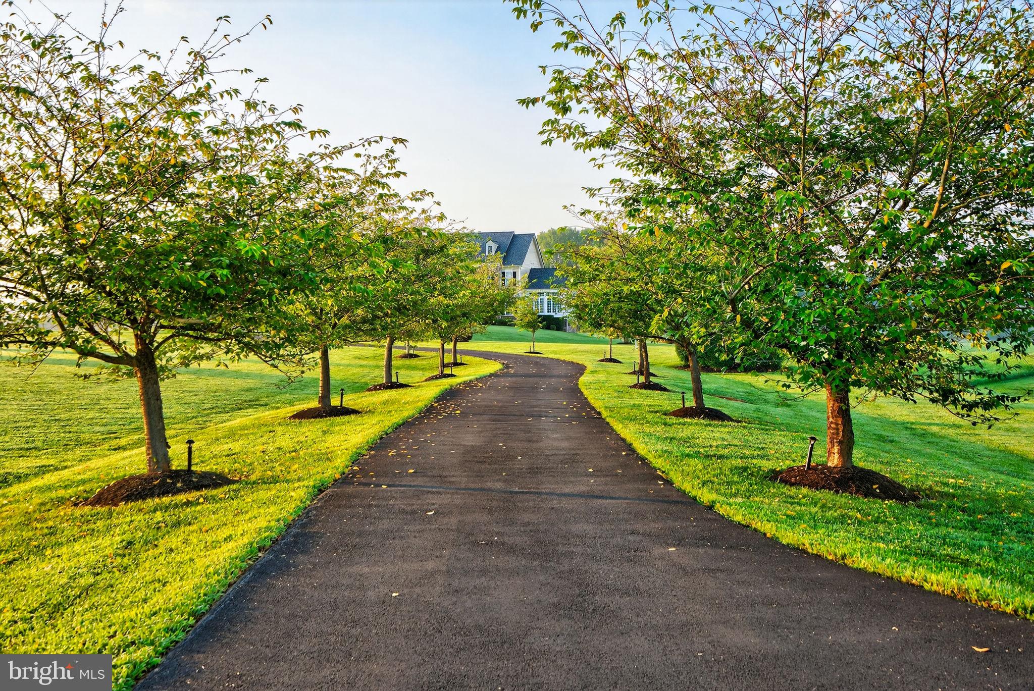 ALEXANDER LAKES - Residential