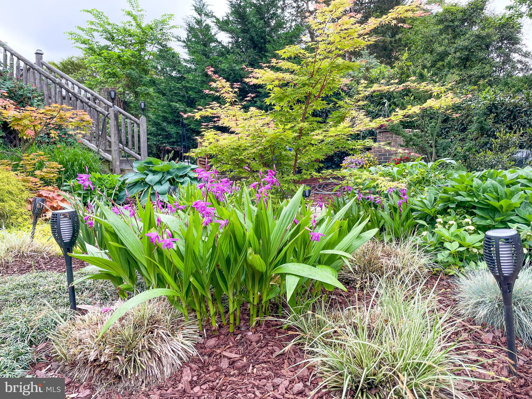 MOUNT RAINIER - Residential