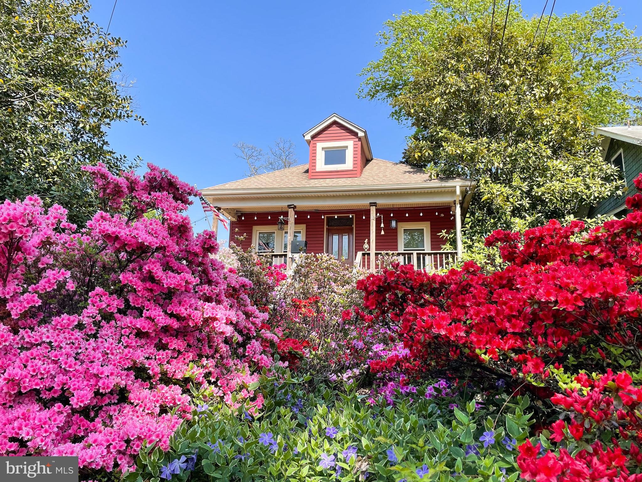 MOUNT RAINIER - Residential