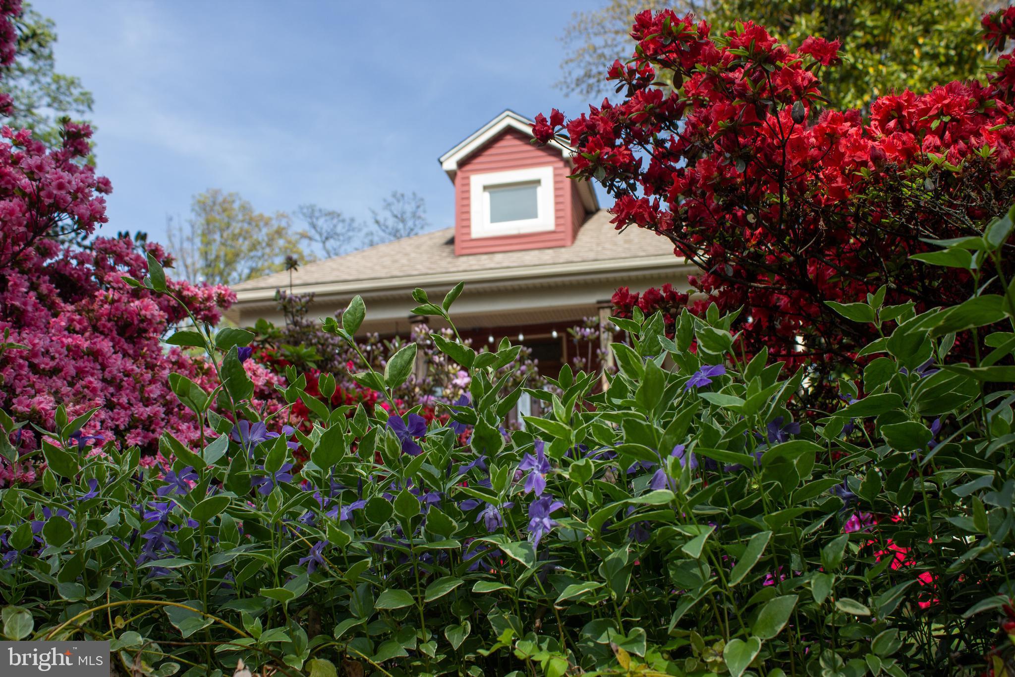 MOUNT RAINIER - Residential