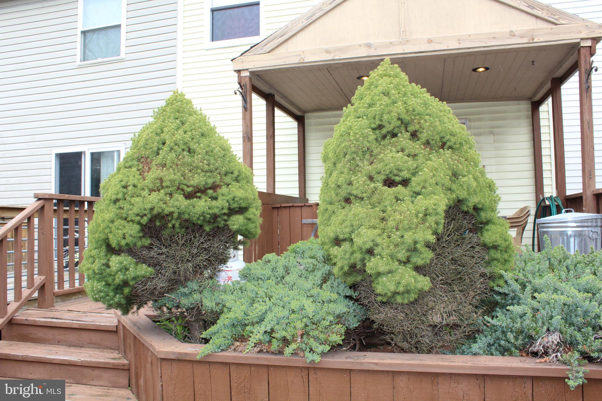 DUNSHIRE TOWNHOUSES - Residential