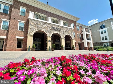 2465 ARMY NAVY DRIVE 1-310 ARLINGTON VA 22206