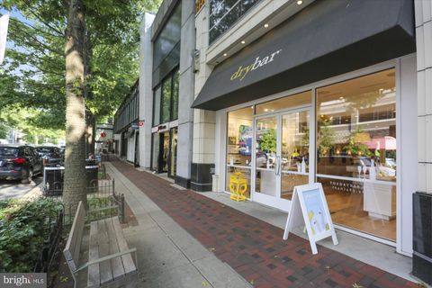 listing image 50