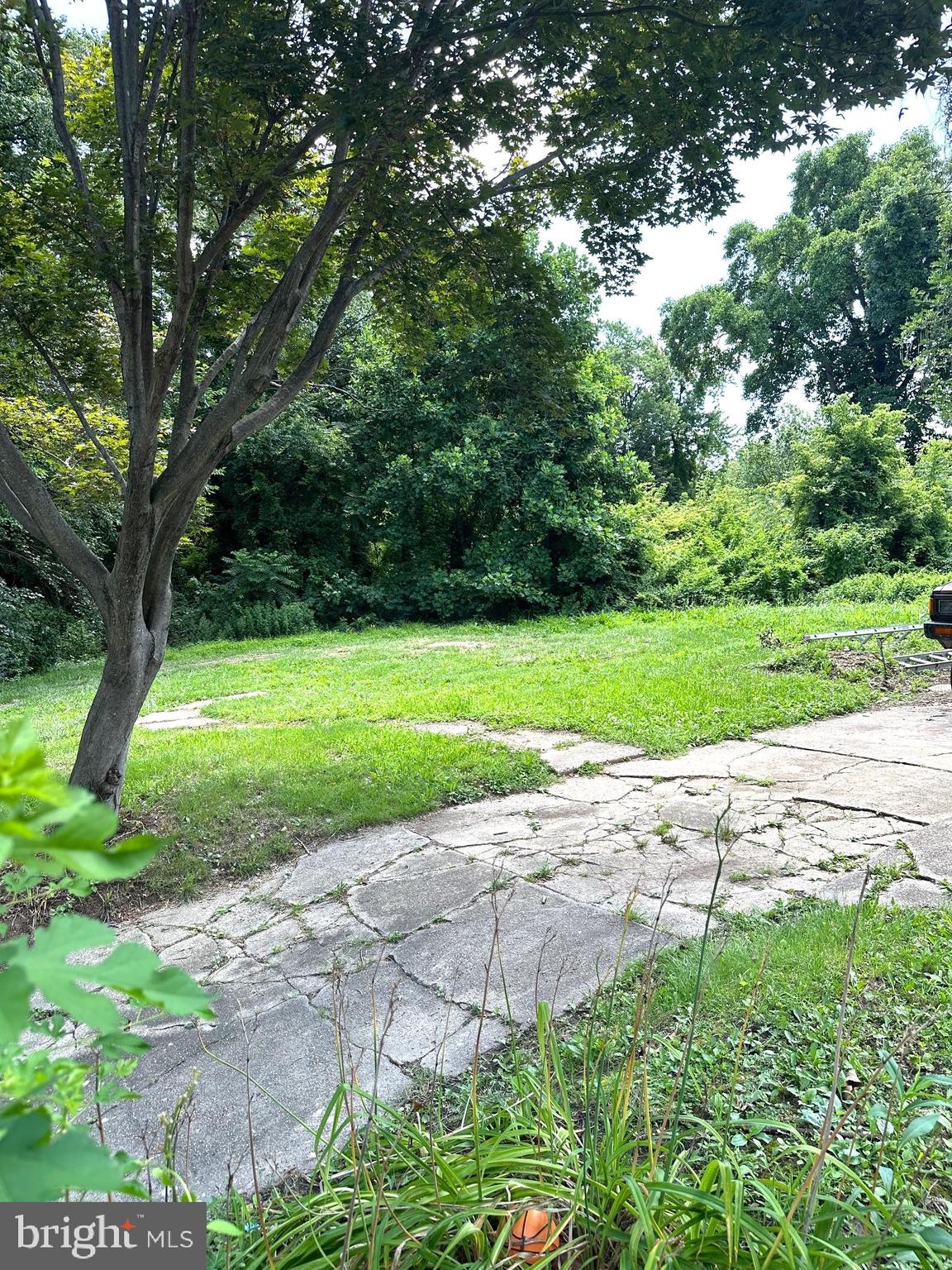 152 EVERGREEN AVENUE