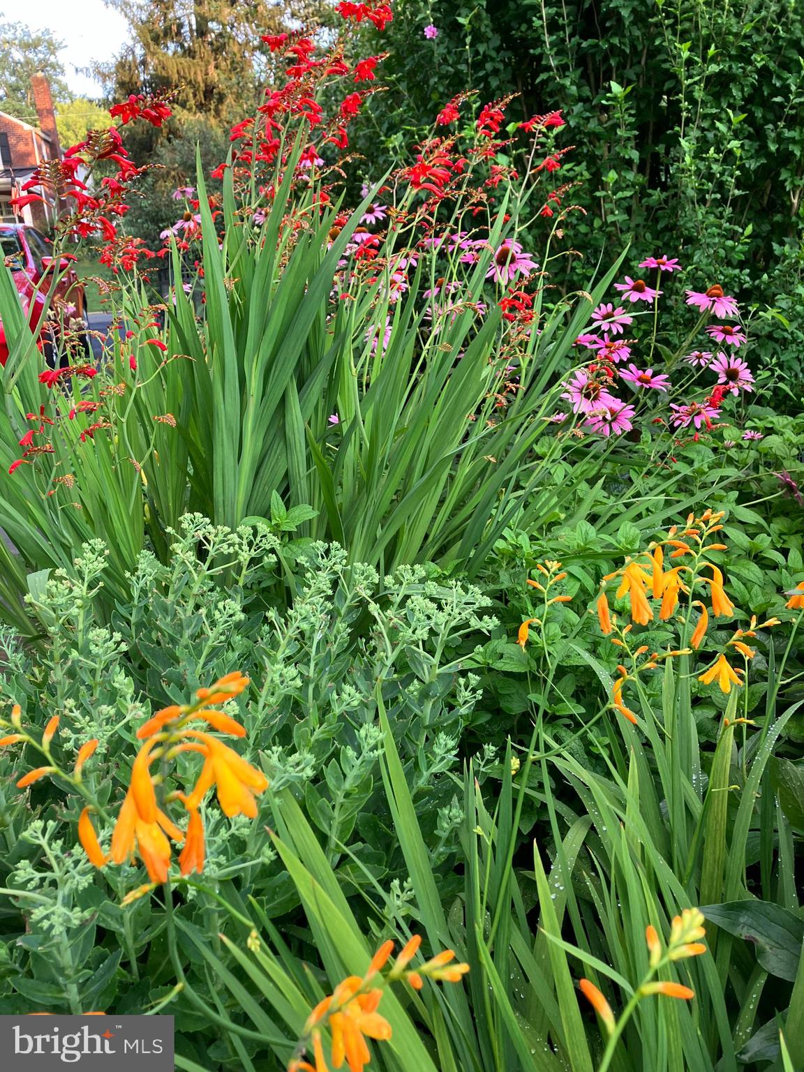 CHESNEY DOWNS - Residential