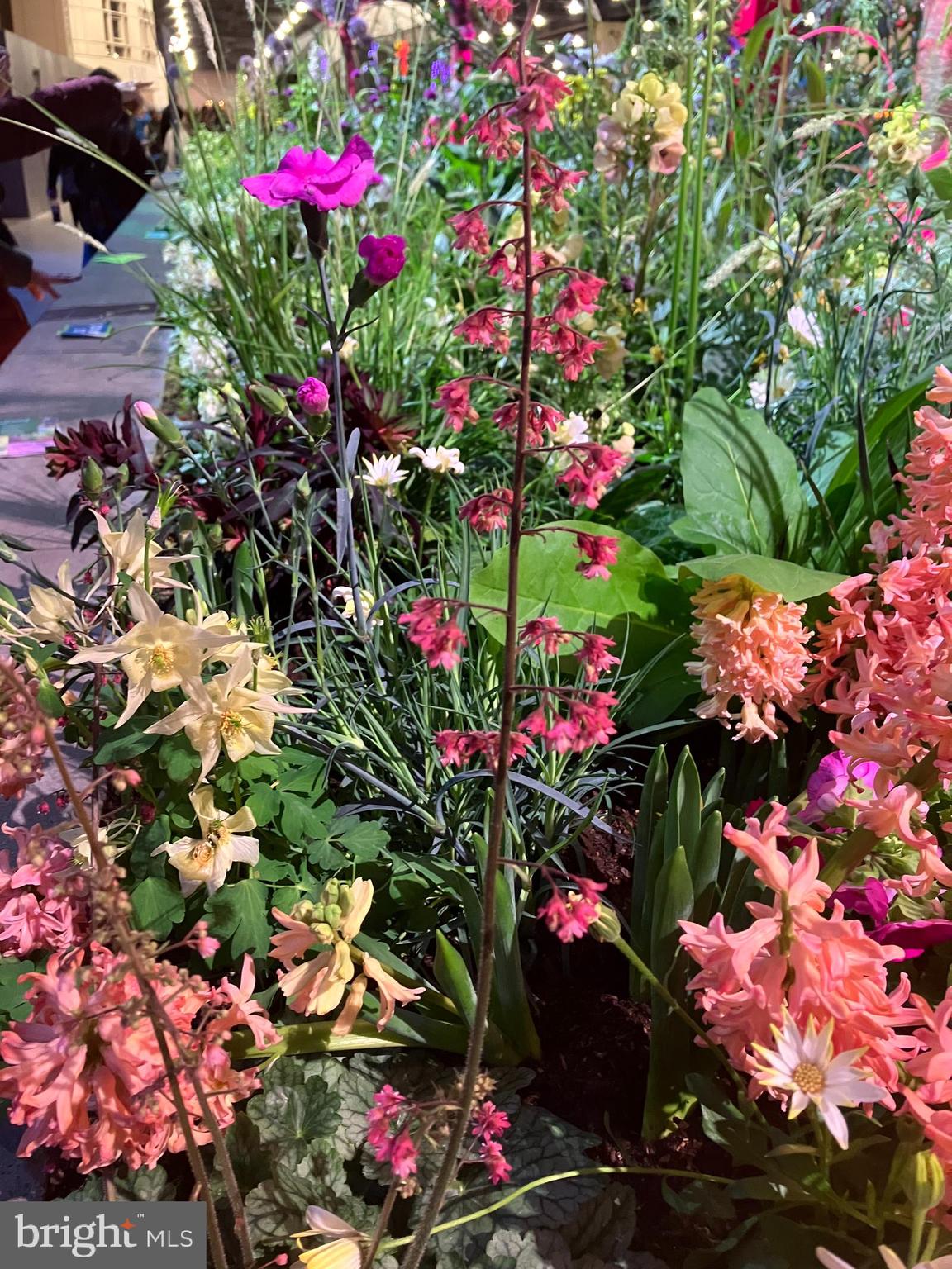 CHESNEY DOWNS - Residential