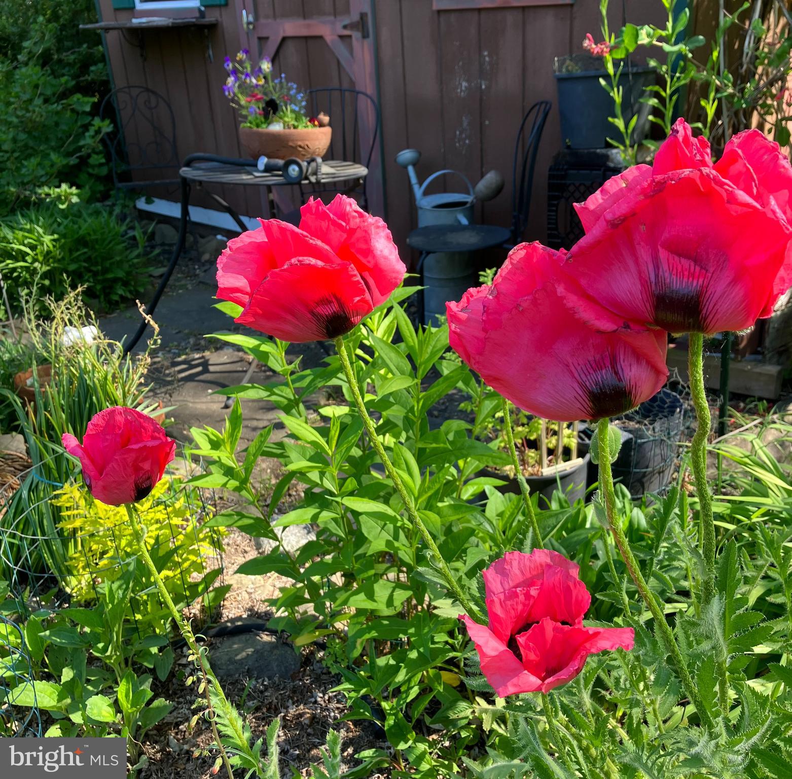 CHESNEY DOWNS - Residential