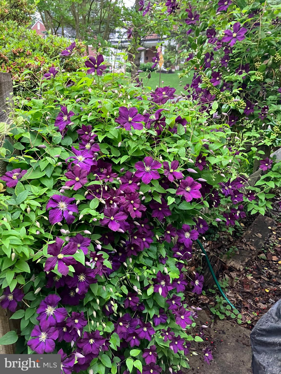 CHESNEY DOWNS - Residential