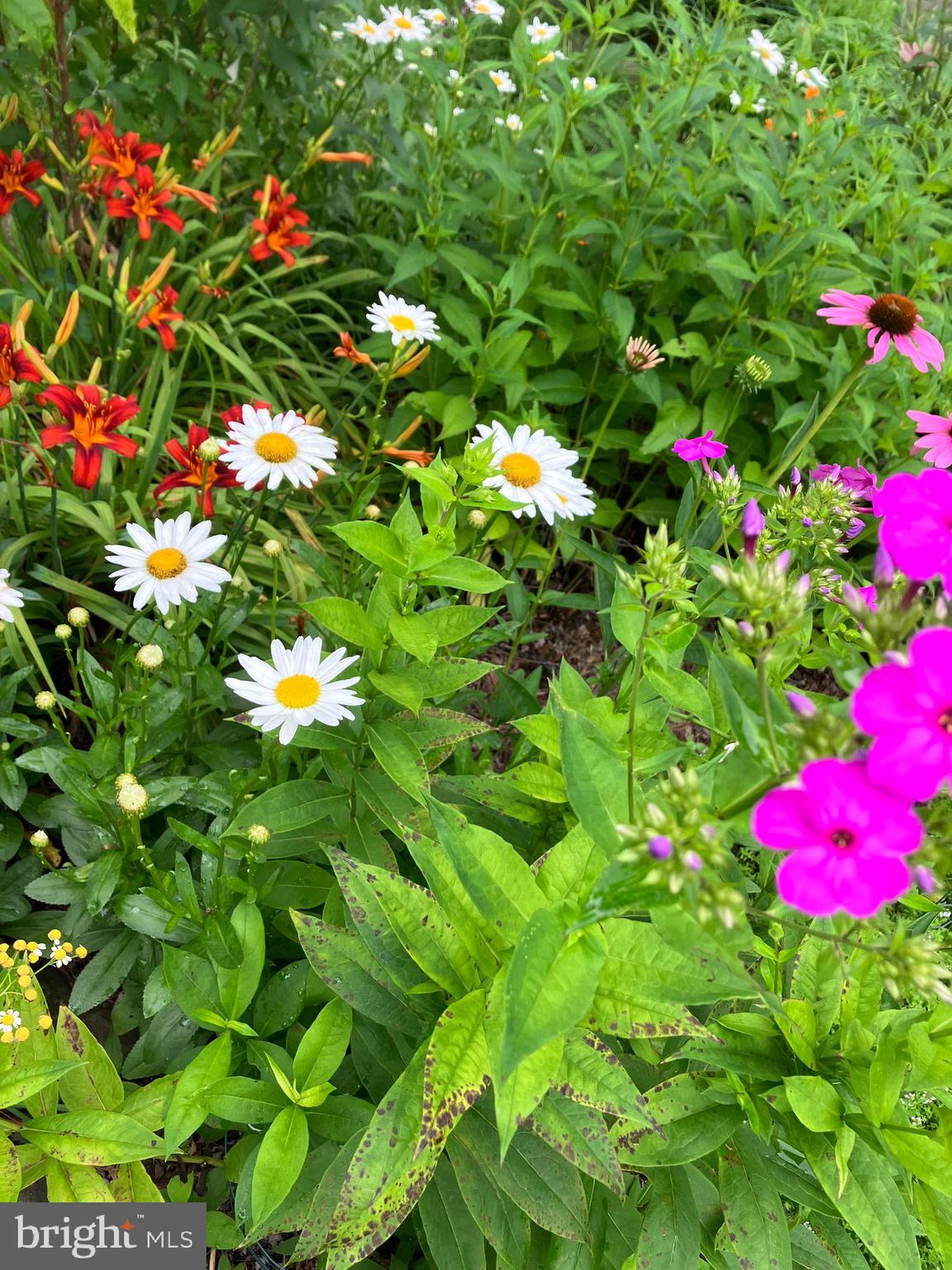 CHESNEY DOWNS - Residential