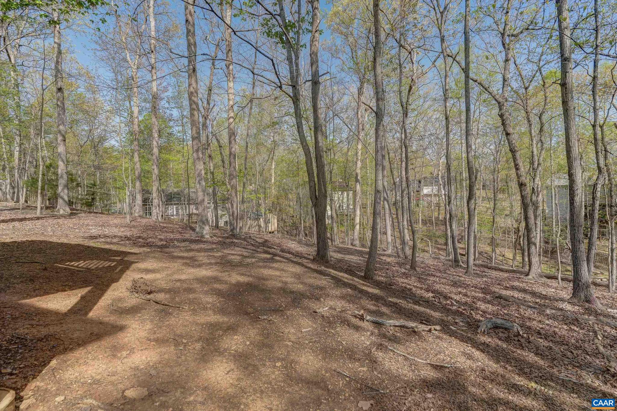 LAKE MONTICELLO - Residential