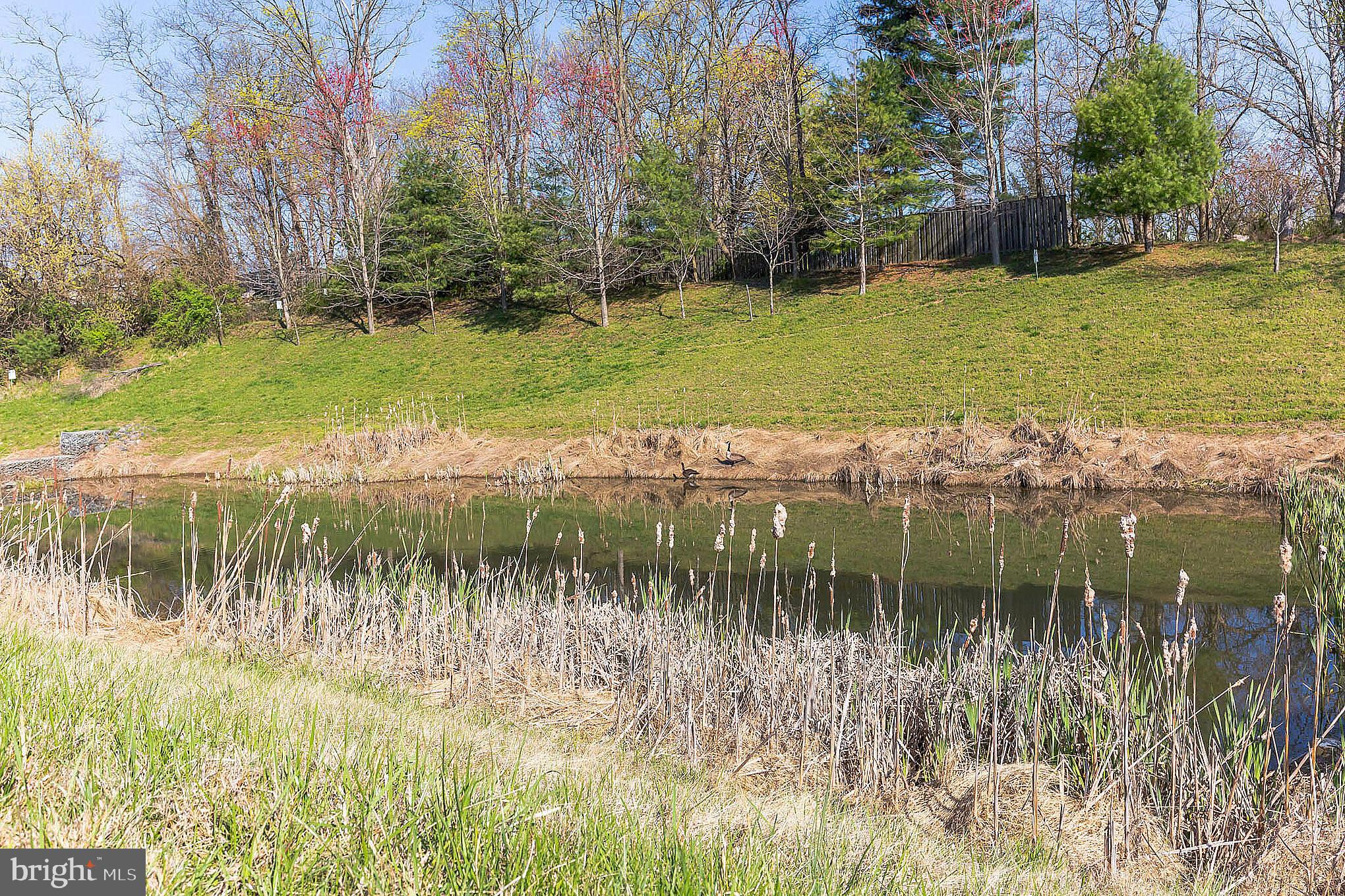 VILLAGE CREST AT TAYLOR VILLAGE - Residential