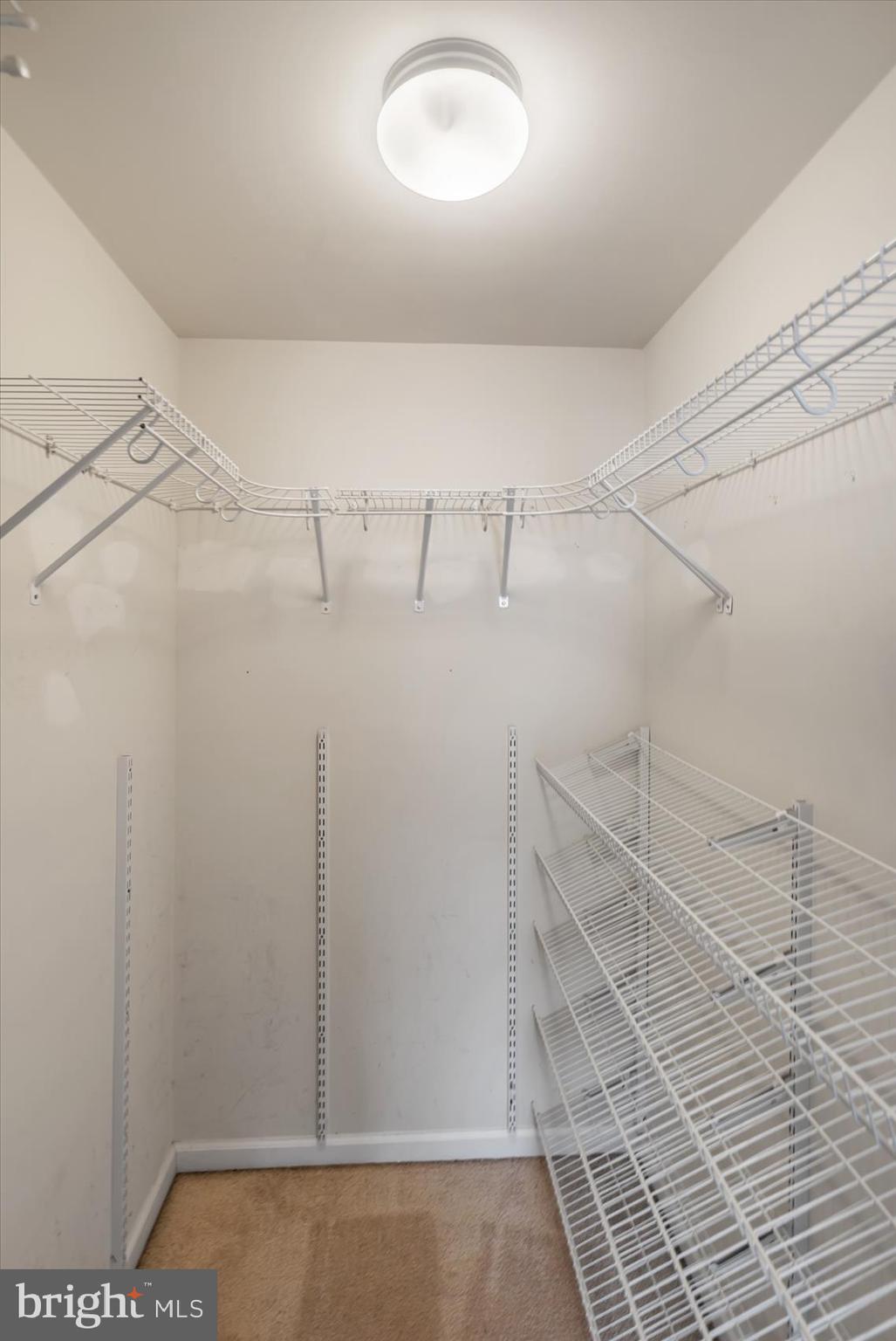 BLUE STREAM - Residential