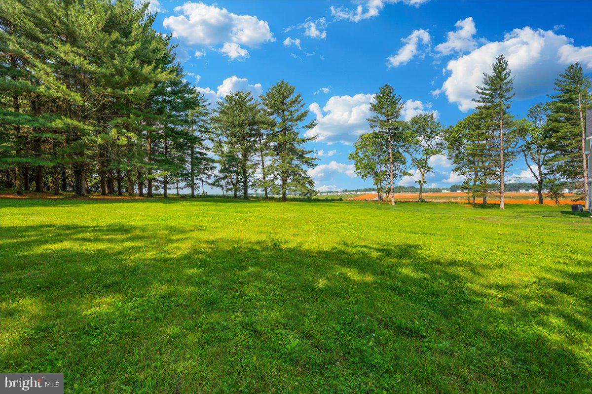 SHENANDOAH JUNCTION - Residential