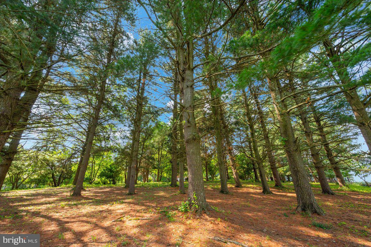 SHENANDOAH JUNCTION - Residential