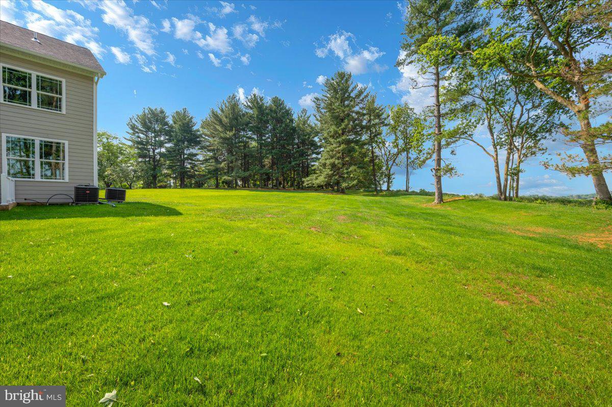 SHENANDOAH JUNCTION - Residential