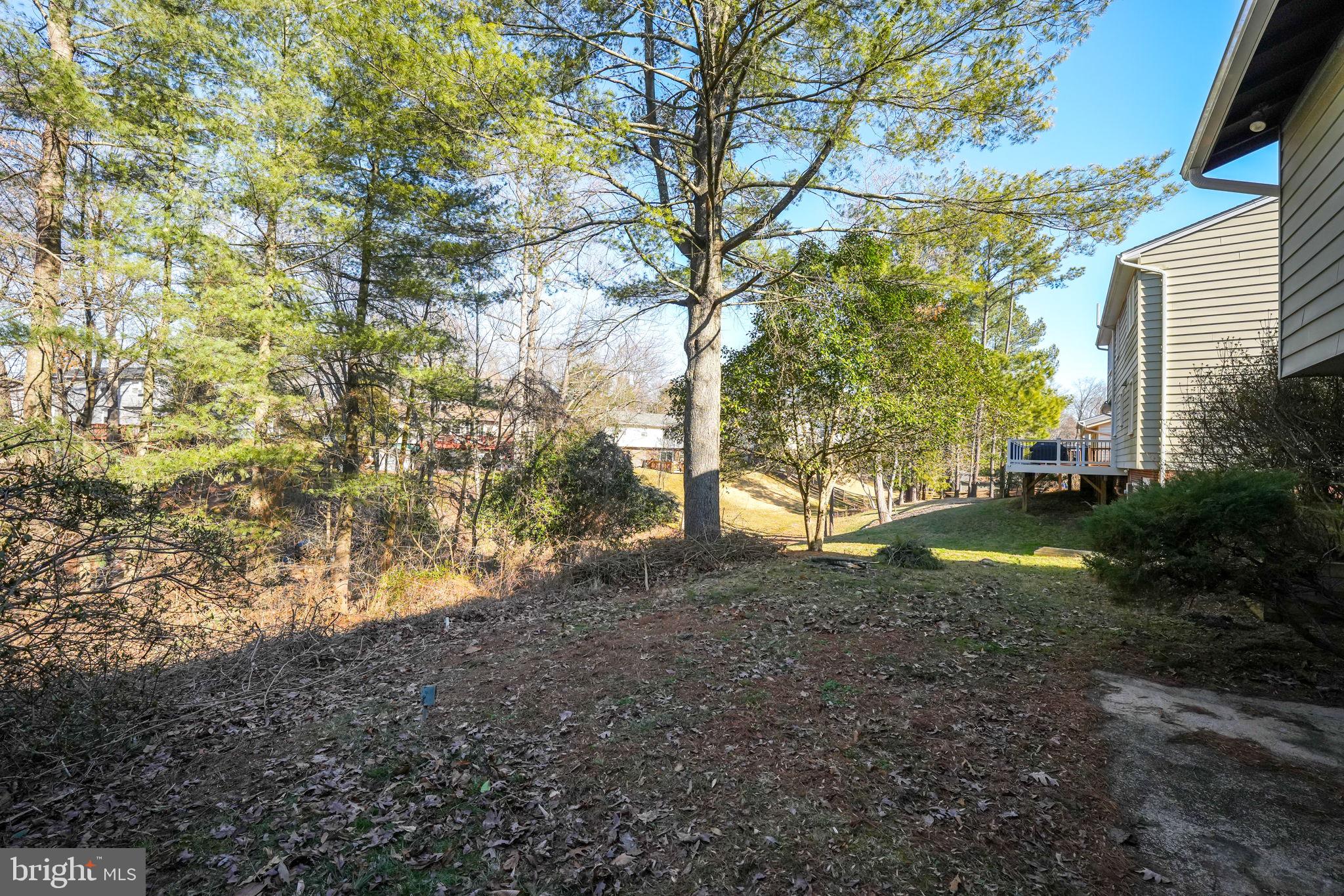 BRIARWOOD - Residential