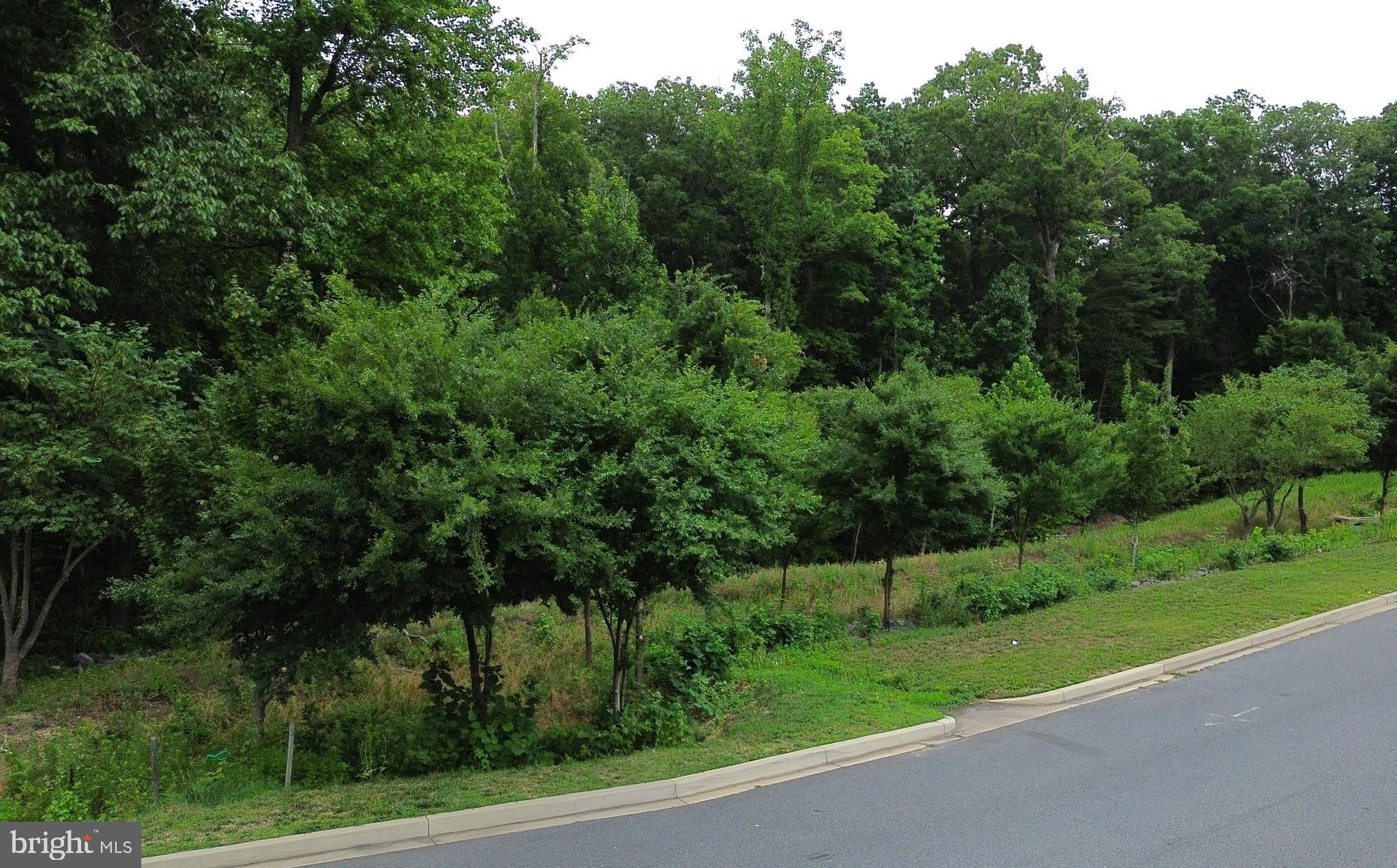 MILLSTONE LANDING ROAD