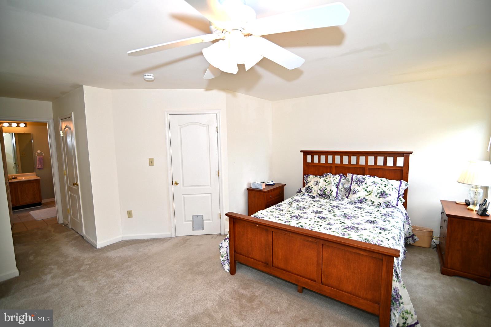 CEDAR TREE - Residential