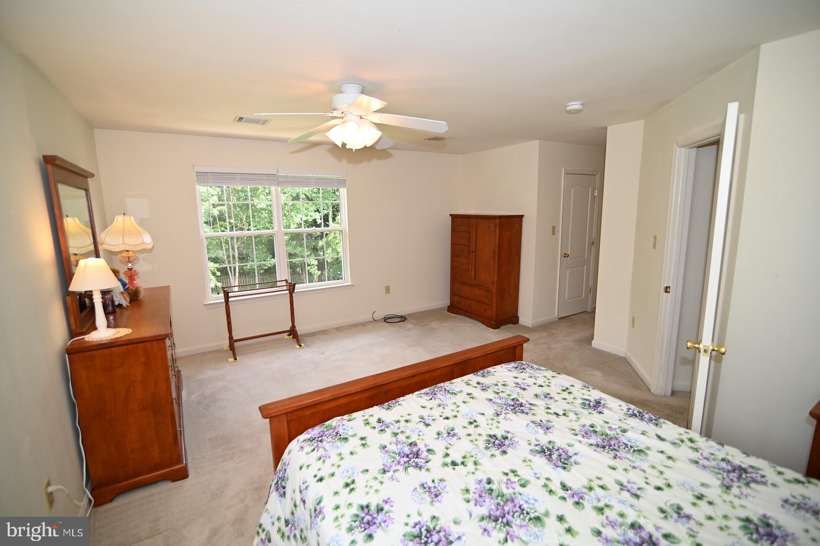 CEDAR TREE - Residential