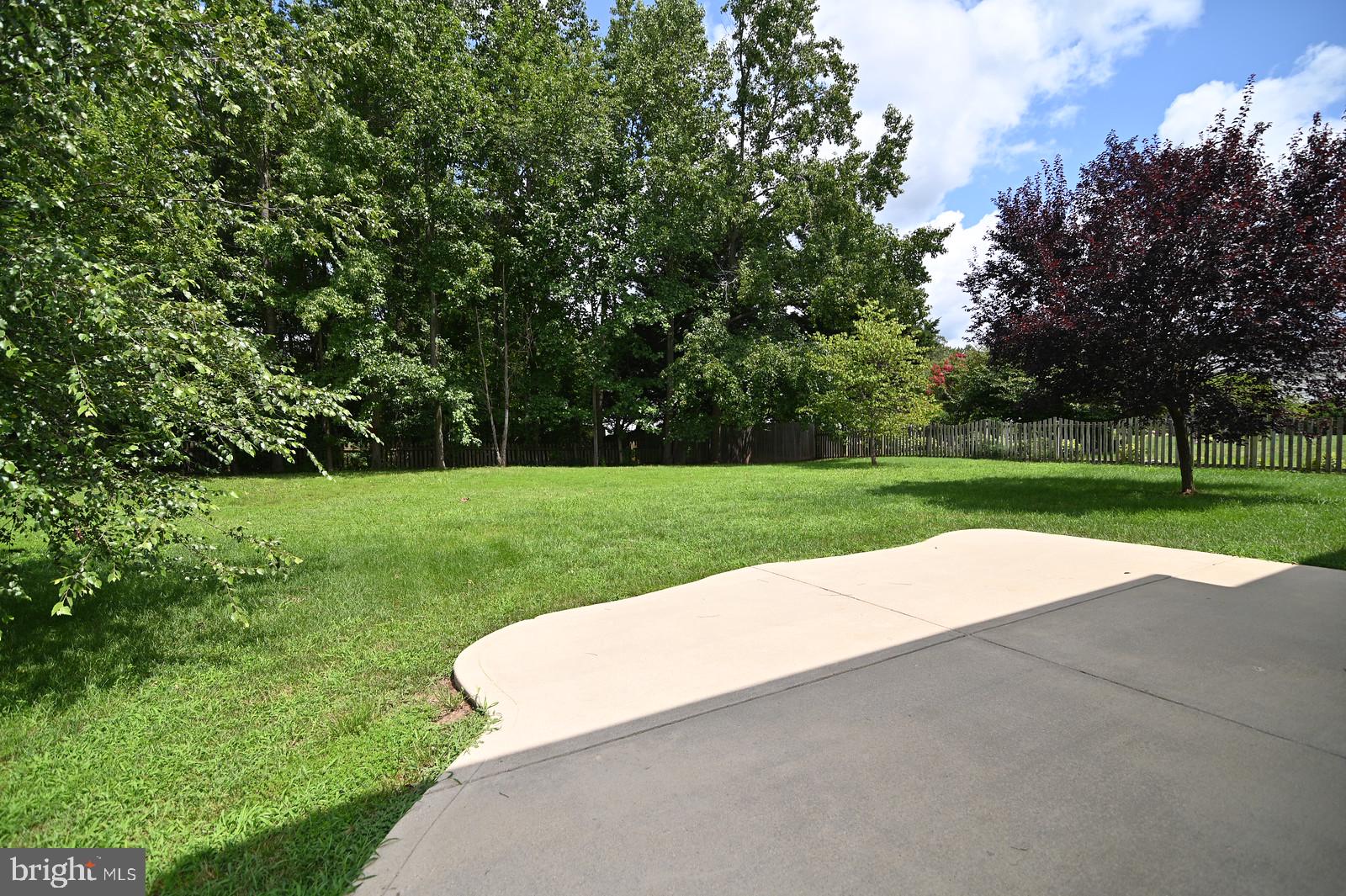 CEDAR TREE - Residential