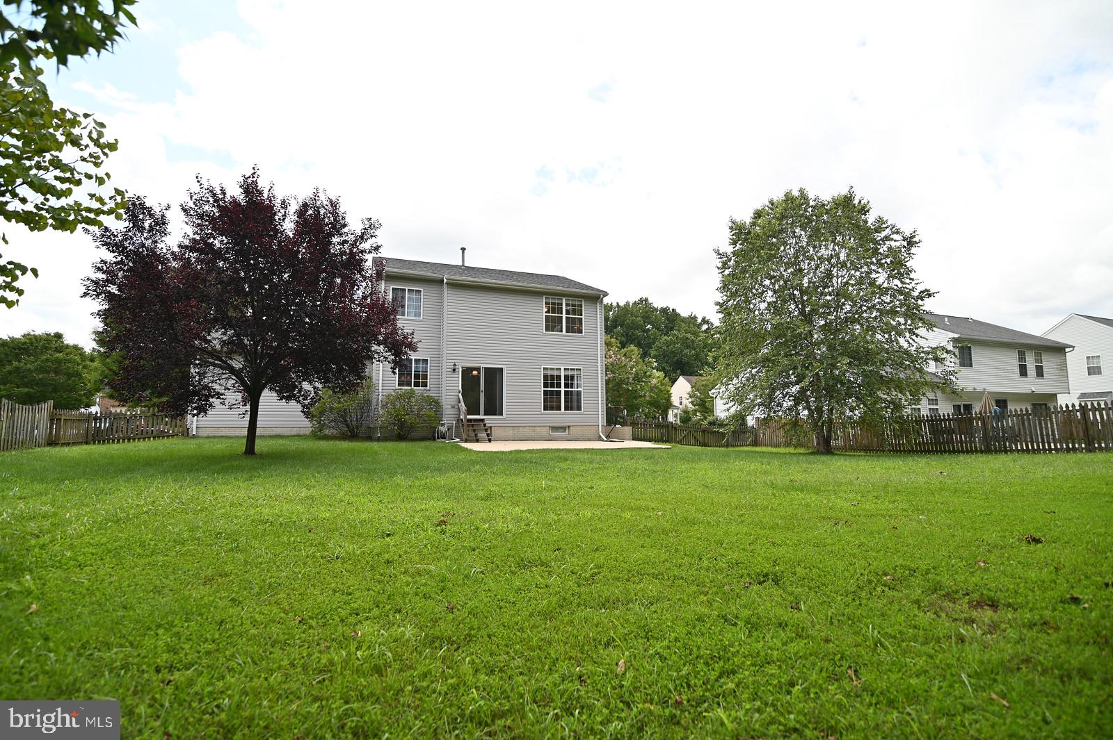 CEDAR TREE - Residential